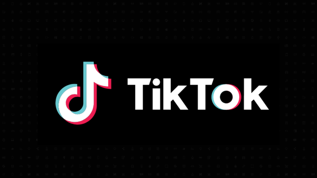 TikTok Marketing Partner